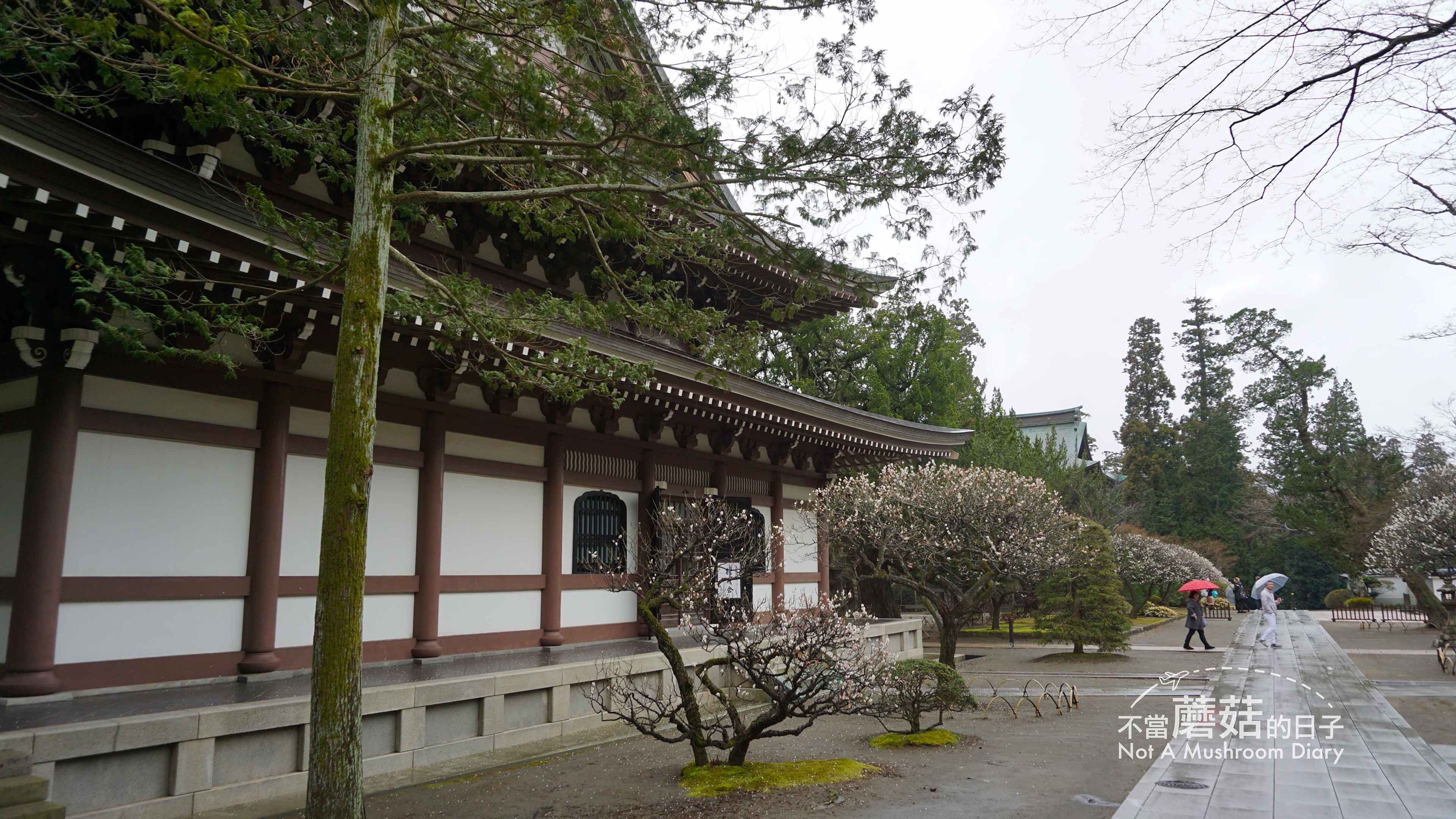 鎌倉 圓覺寺