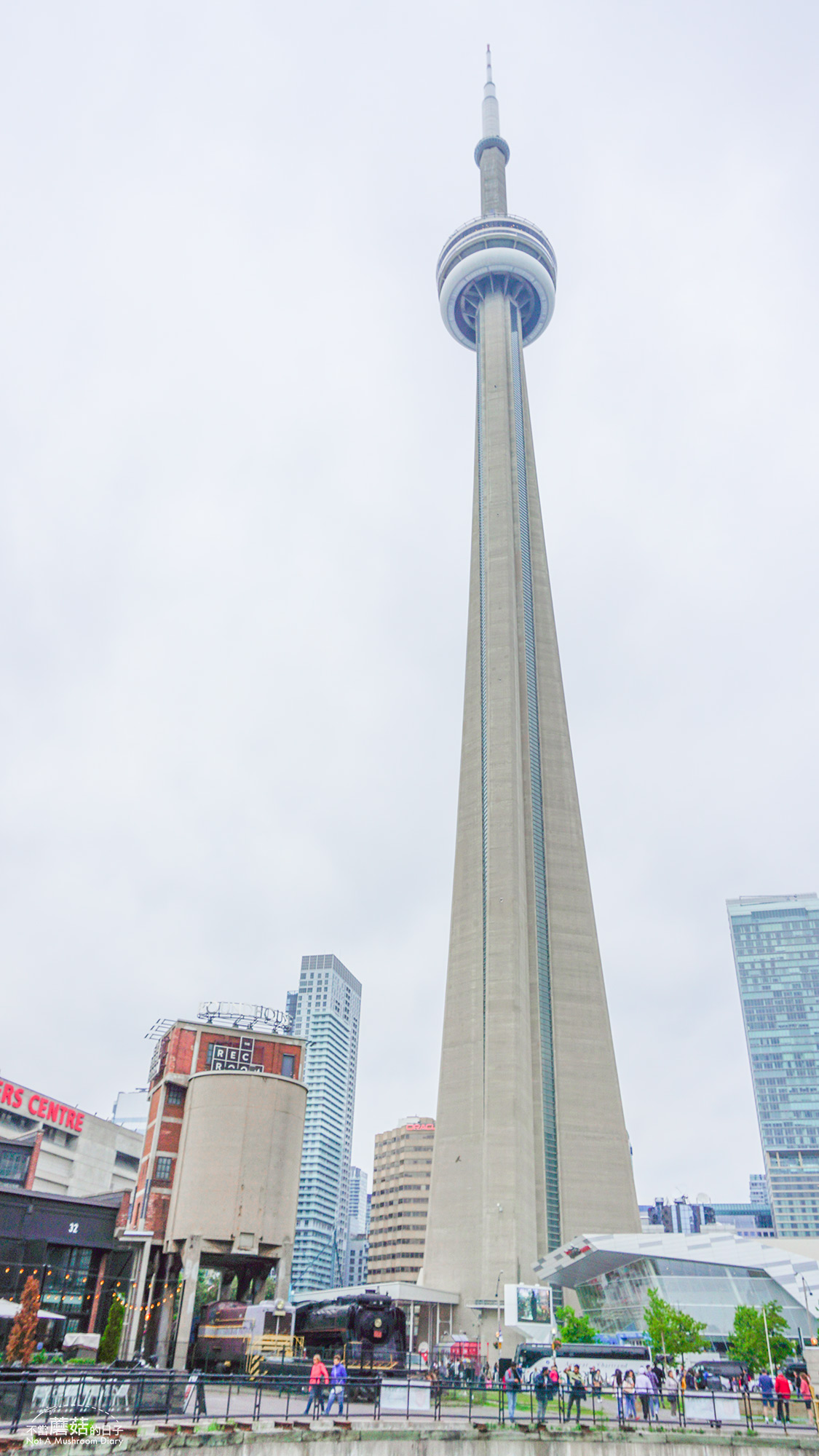 多倫多 加拿大 CN Tower 