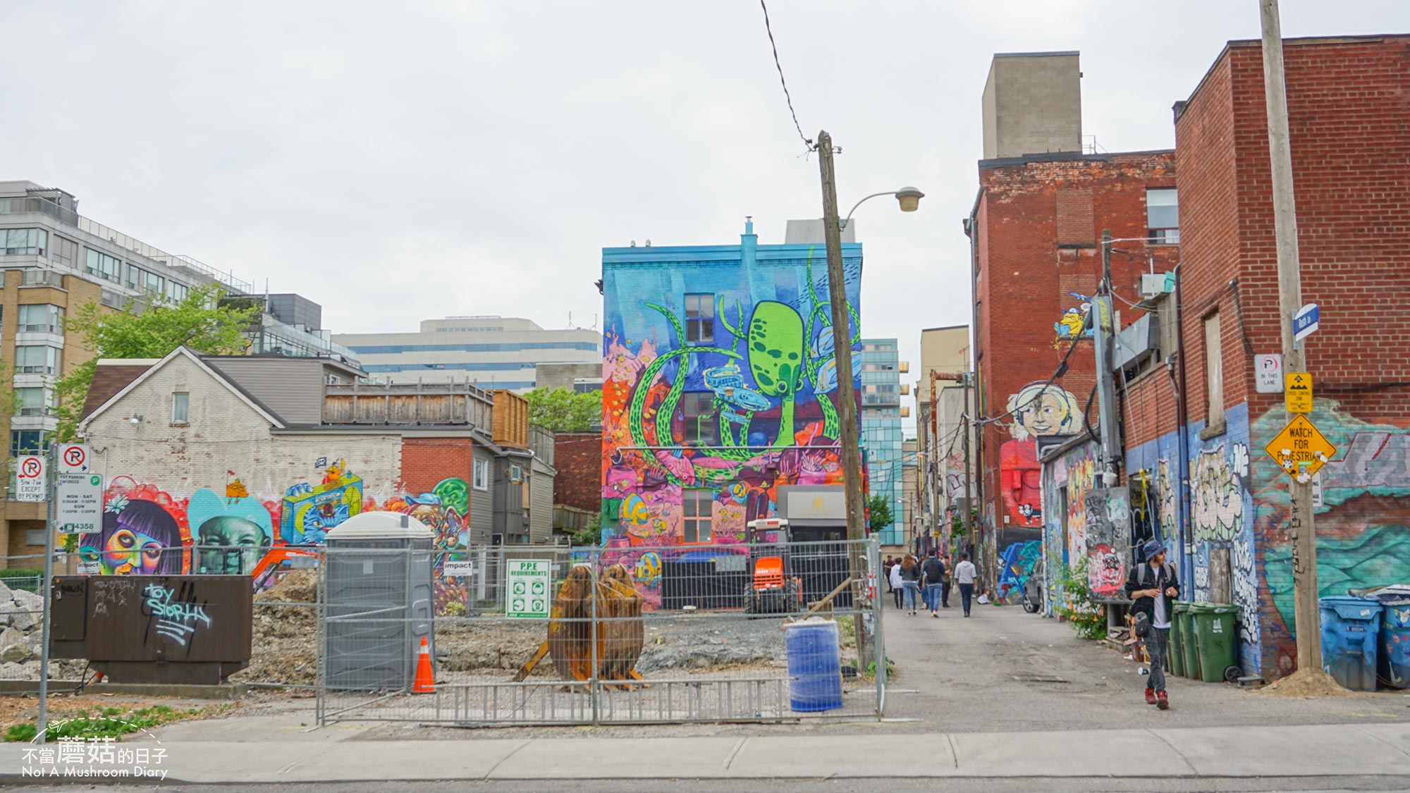 多倫多 加拿大 Graffiti Alley 塗鴉巷