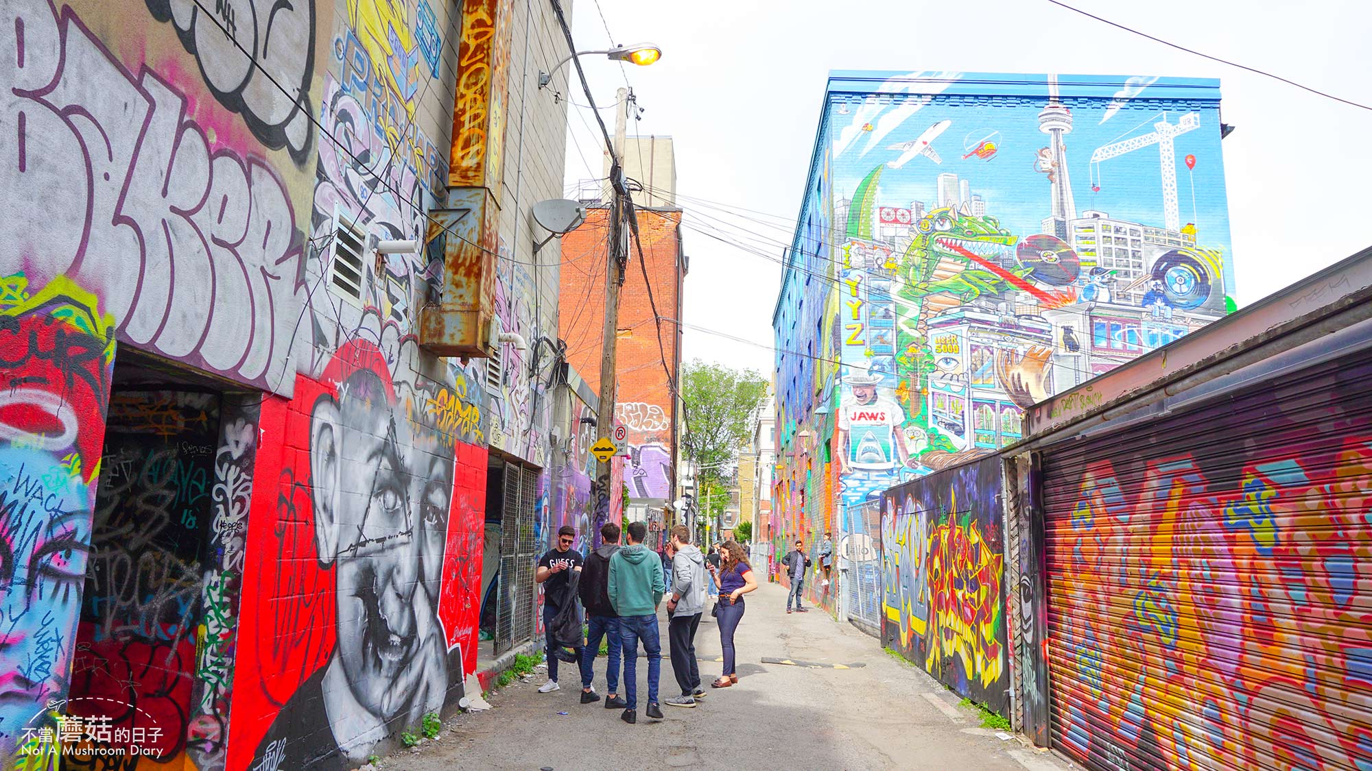 多倫多 加拿大 Graffiti Alley 塗鴉巷