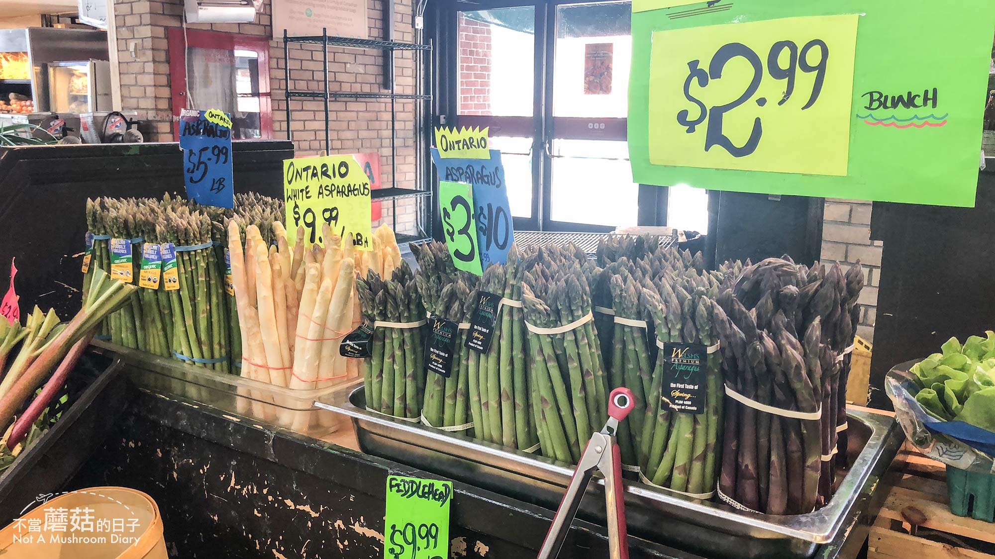 多倫多 加拿大 自由行 St, Lawrence Market