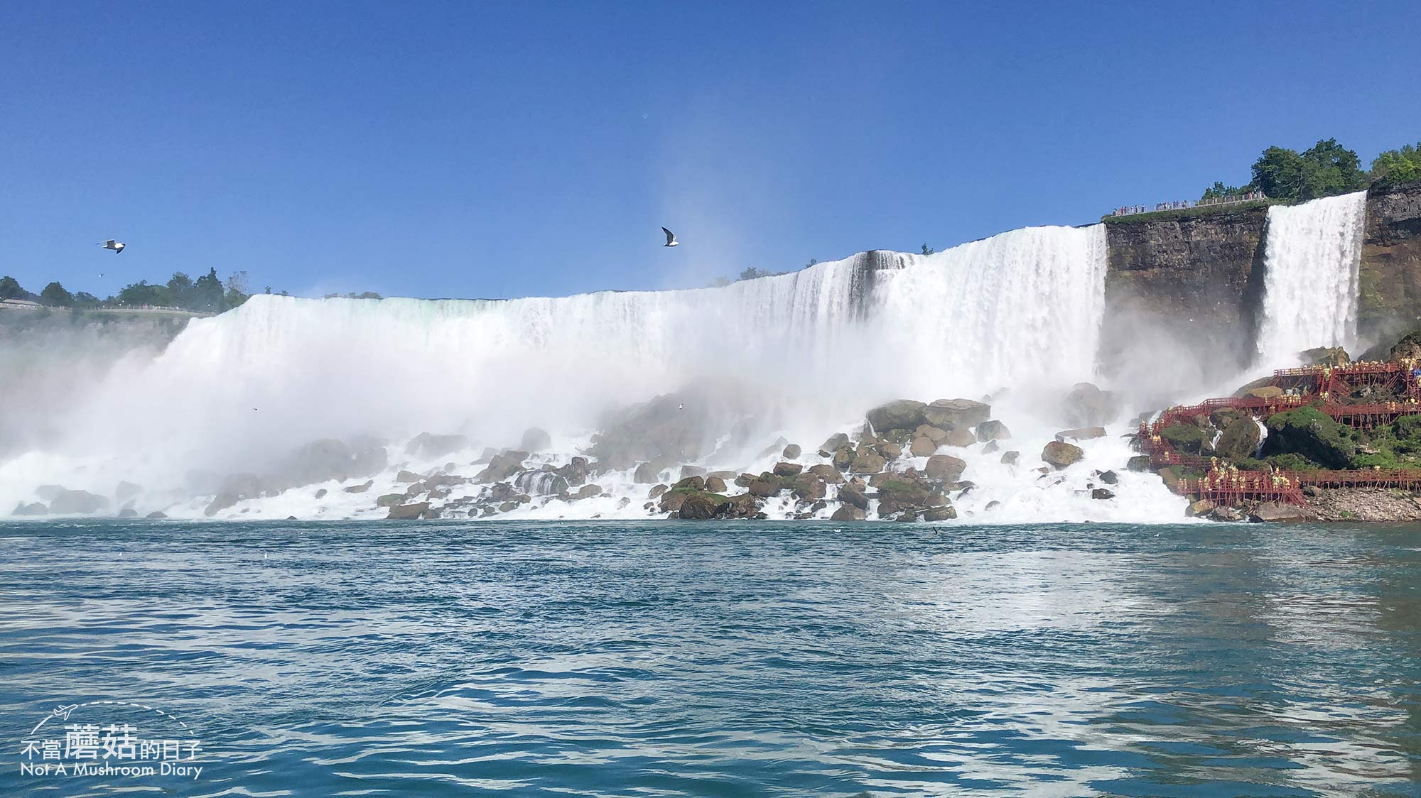 多倫多 加拿大 景點 尼加拉瀑布 Niagara Falls