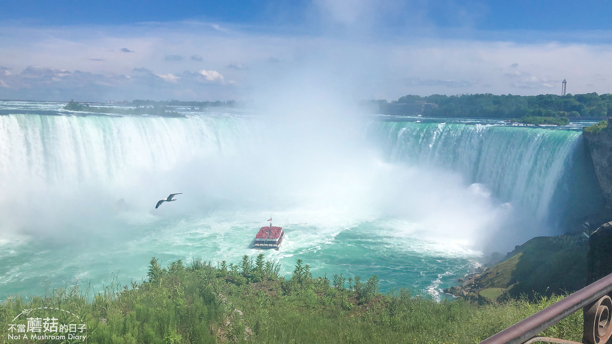 多倫多 加拿大 景點 尼加拉瀑布 Niagara Falls