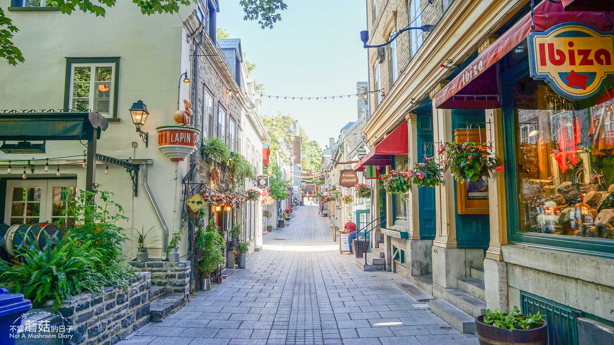 魁北克 加拿大 小尚普蘭街 Rue de Petit Champlain 自由行