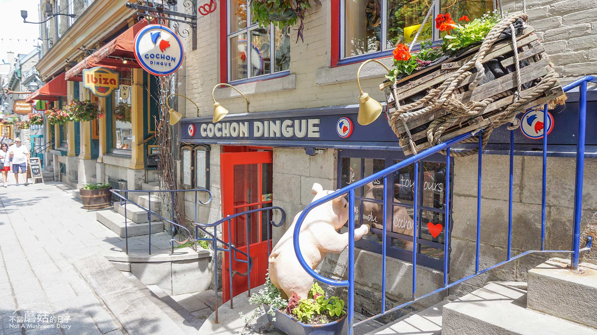 魁北克 加拿大 餐廳 Cochon Dingue