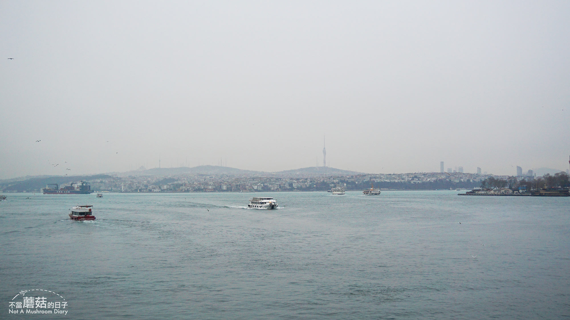 土耳其航空 伊斯坦堡 轉機 行程 簽證 Touristanbul 