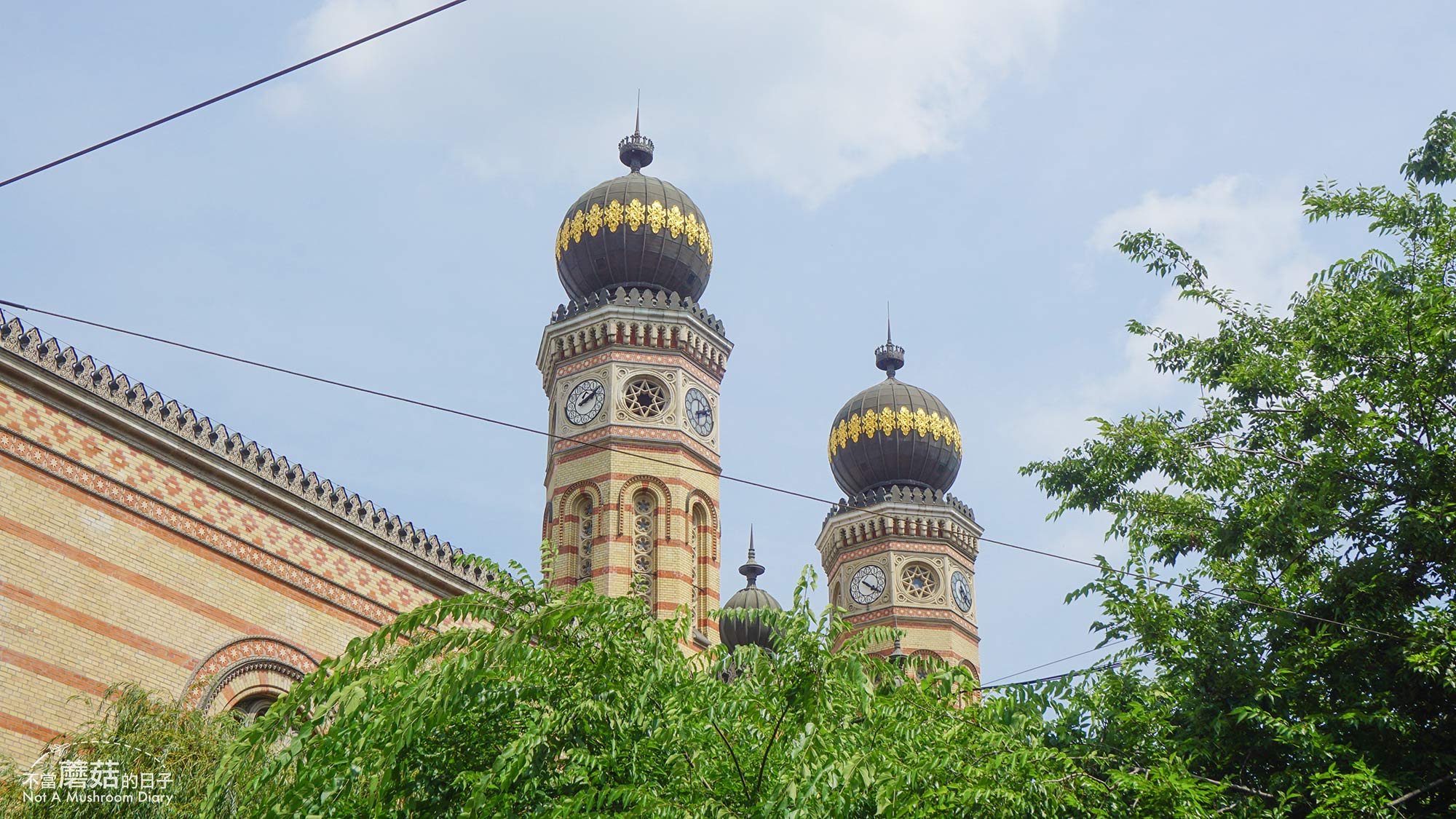 布達佩斯 匈牙利 自由行 景點 菸草街會堂 Dohány Street Synagogue