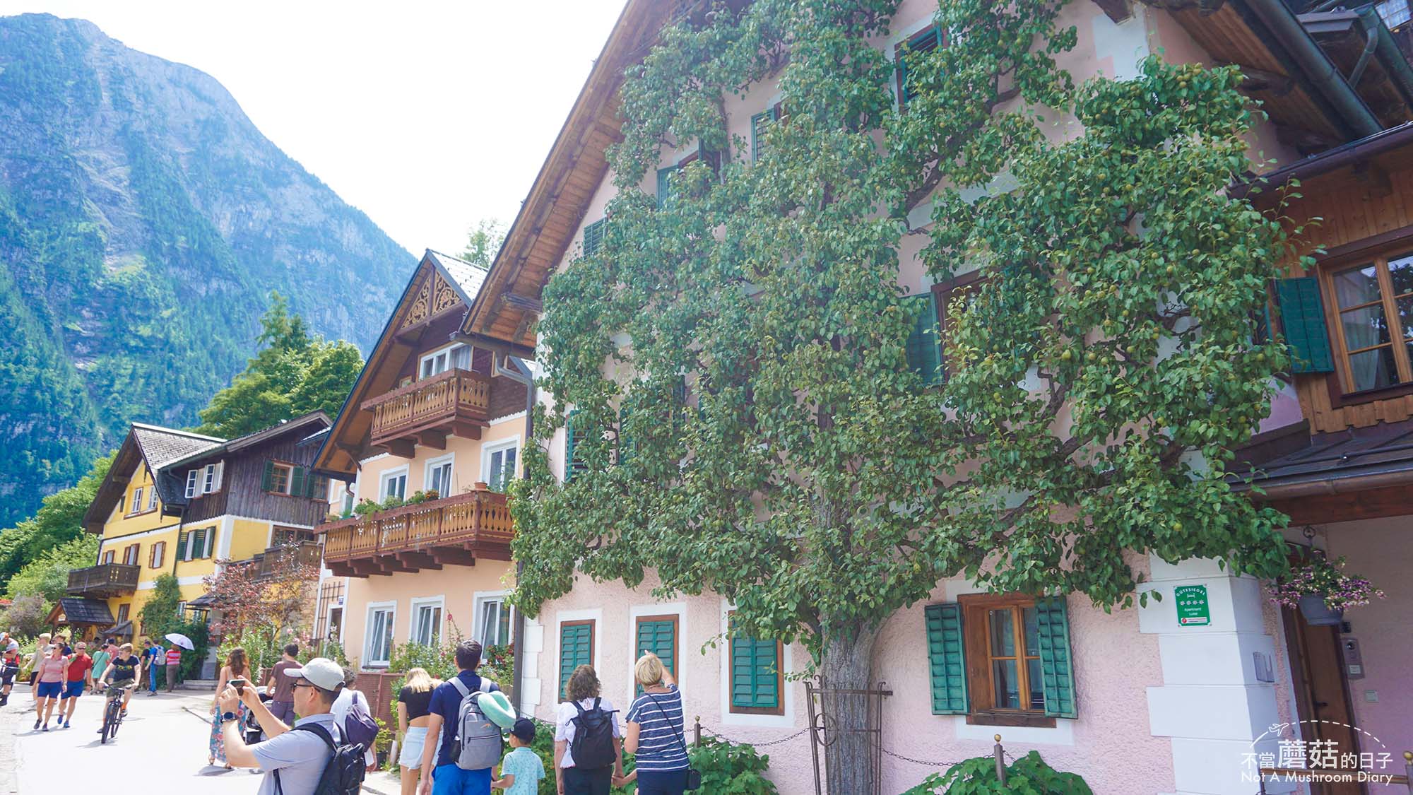 哈修塔特 奧地利 交通 自駕 停車場 景點 自由行 Hallstatt