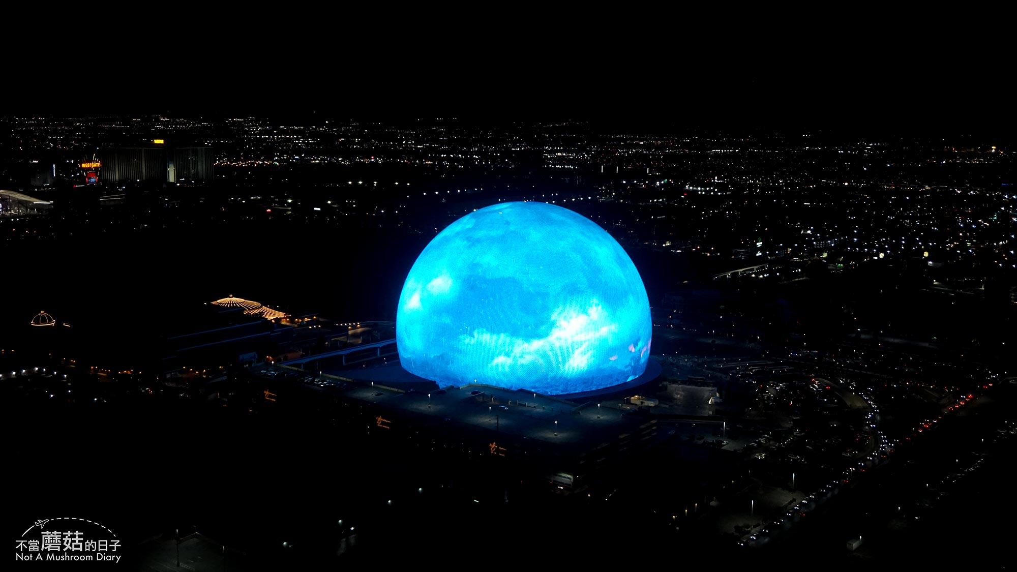 拉斯維加斯 賭城 景點 豪客摩天輪 必吃 漢堡 High Roller In-N-Out