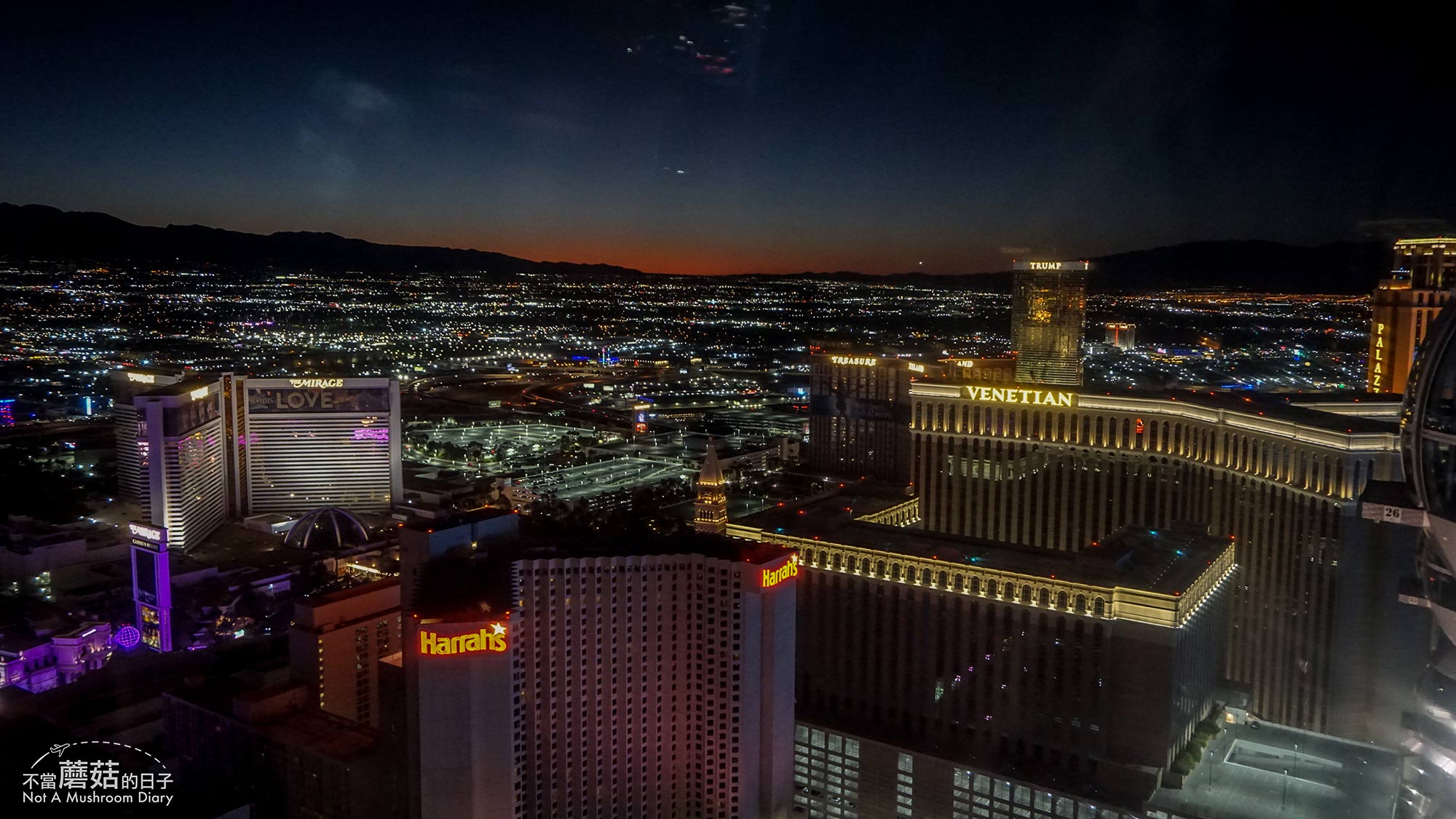 拉斯維加斯 賭城 景點 豪客摩天輪 必吃 漢堡 High Roller In-N-Out