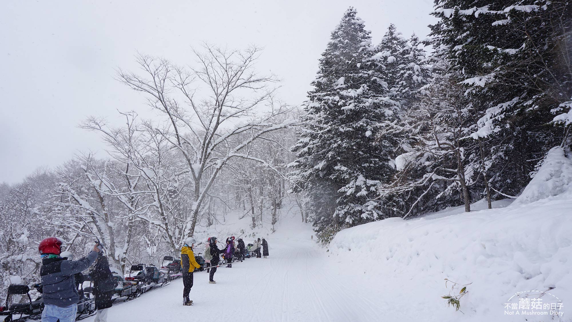 洞爺湖 北海道 札幌 一日遊 雪地摩托車 冬季