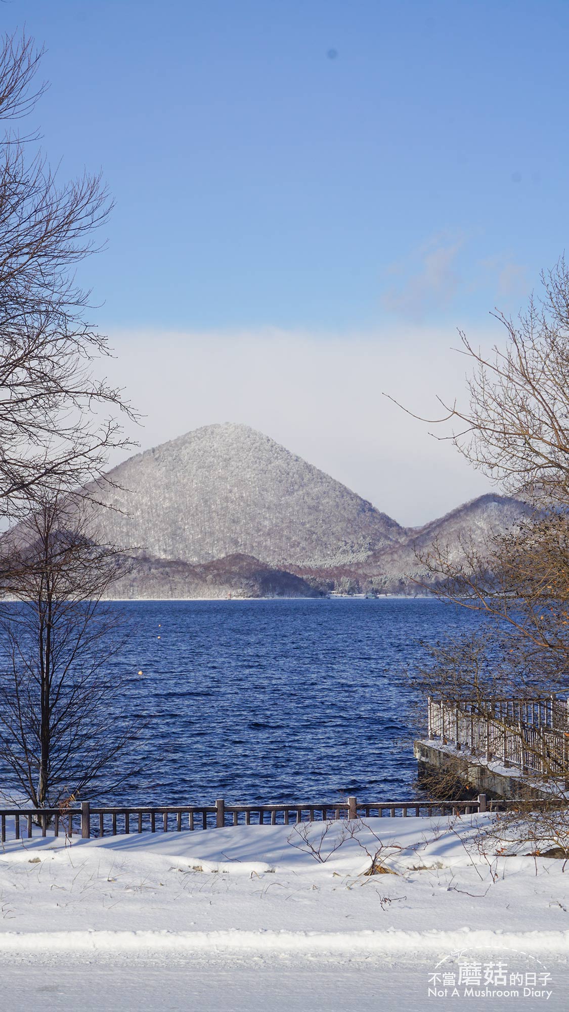 洞爺湖 展望台 北海道 札幌 一日遊 冬季