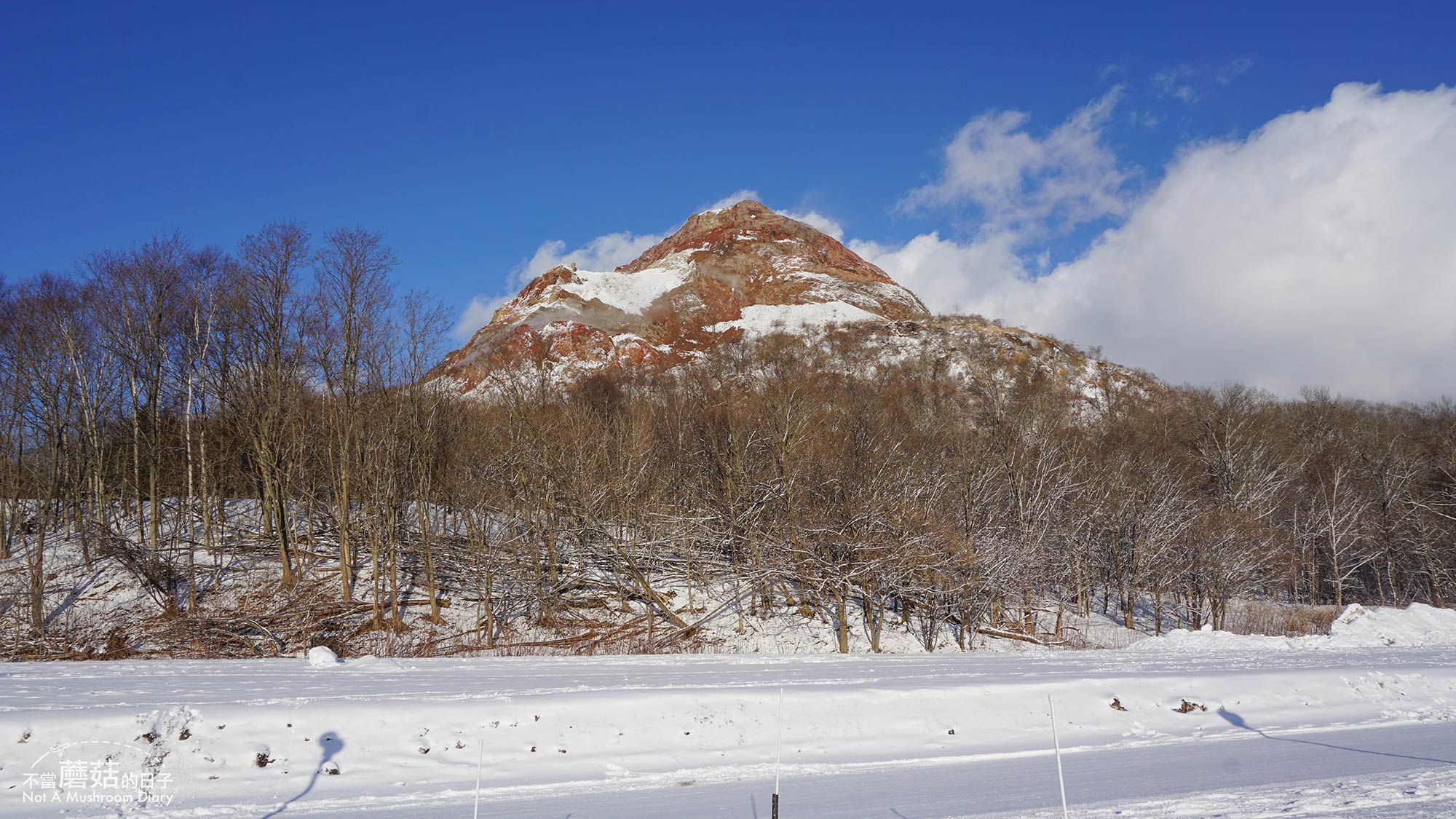 洞爺湖 昭和新山 熊牧場 北海道 札幌 一日遊 冬季