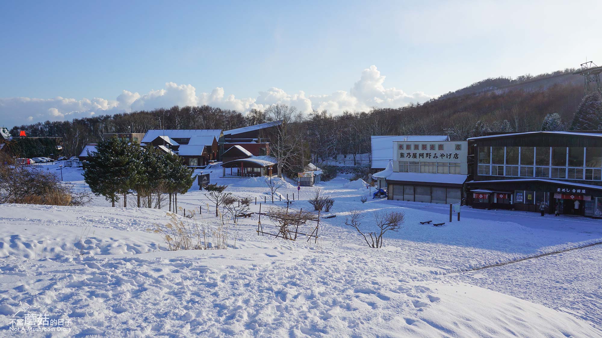 洞爺湖 昭和新山 熊牧場 北海道 札幌 一日遊 冬季