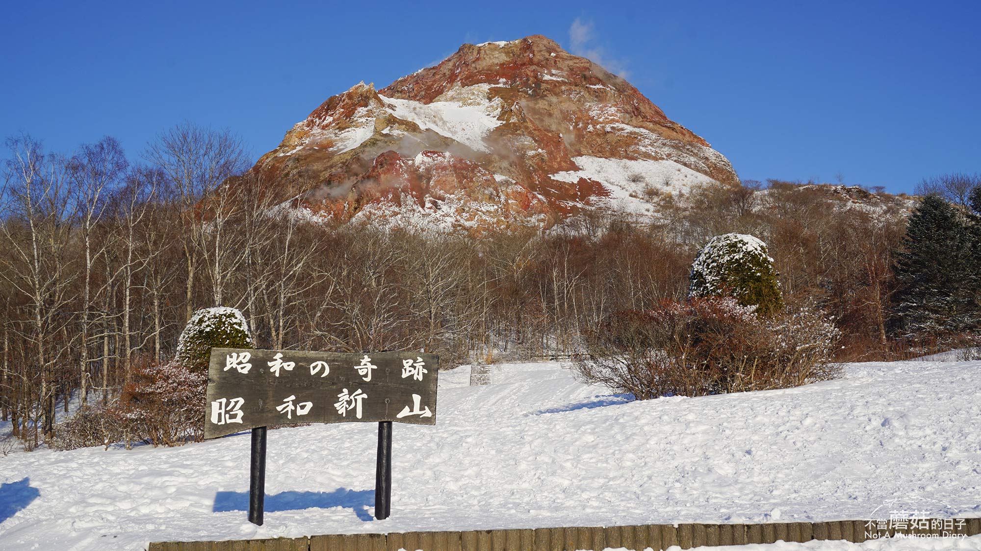 洞爺湖 昭和新山 熊牧場 北海道 札幌 一日遊 冬季