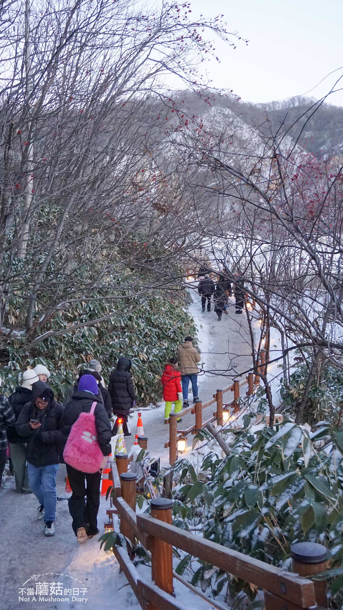 洞爺湖 登別 地獄谷 北海道 札幌 一日遊 冬季