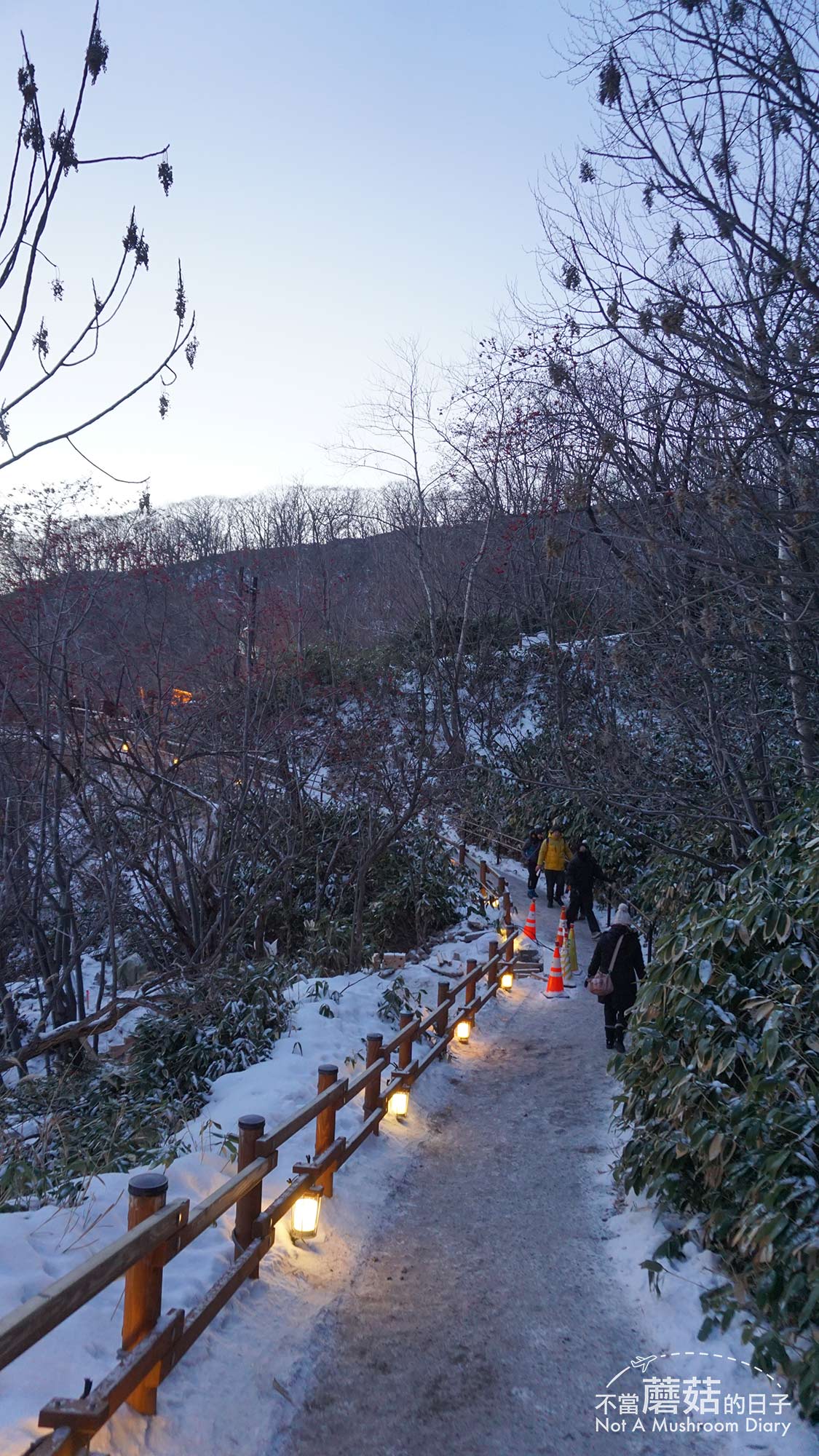 洞爺湖 登別 地獄谷 北海道 札幌 一日遊 冬季