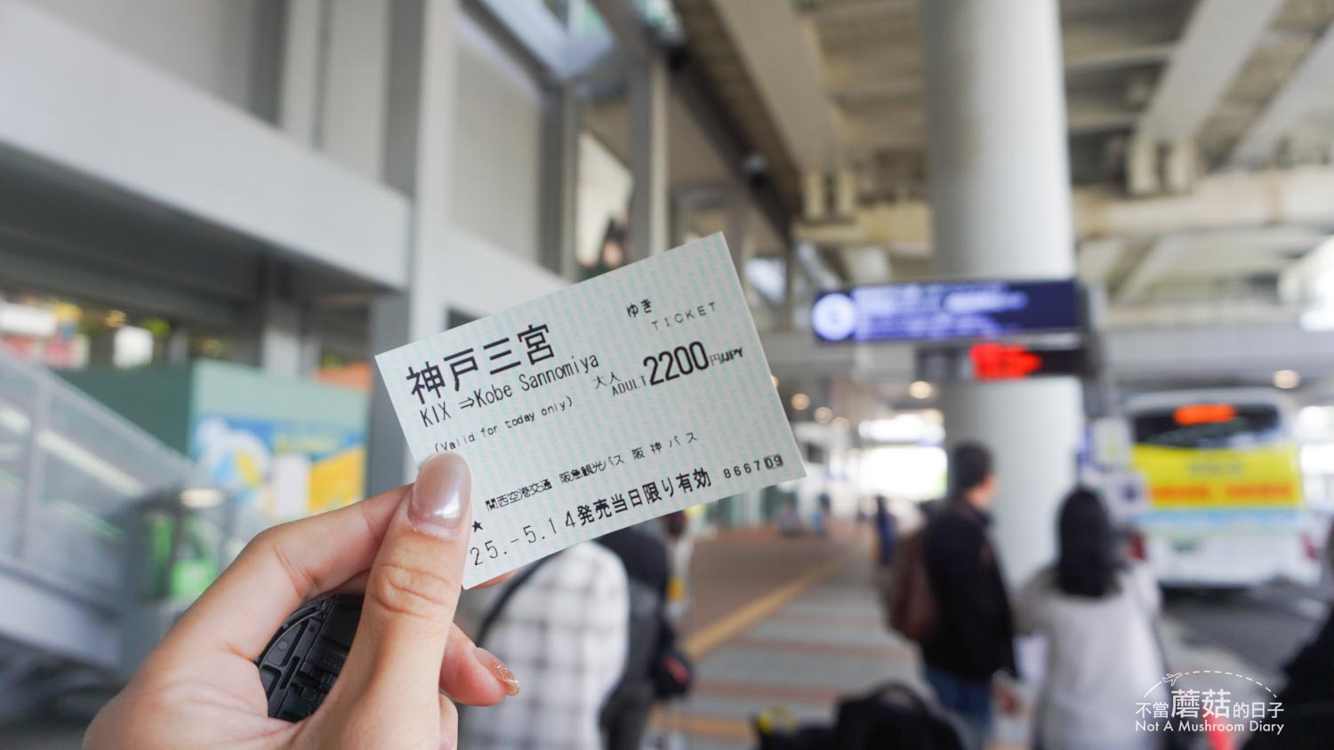 姬路 關西機場 交通 巴士 轉乘 獨旅 住宿