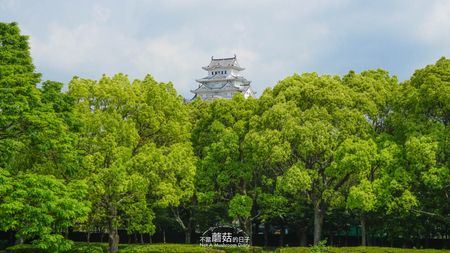 姬路 姬路城 天守 景點 國寶 城見台公園 西之丸 千姬