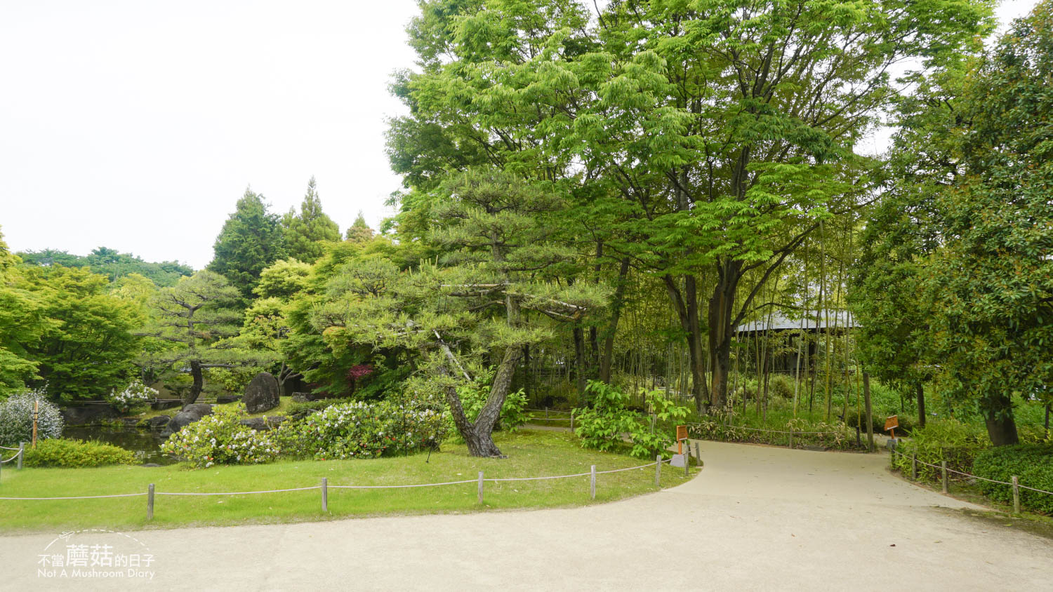 姬路 好古園 双樹庵 景點 推薦 抹茶