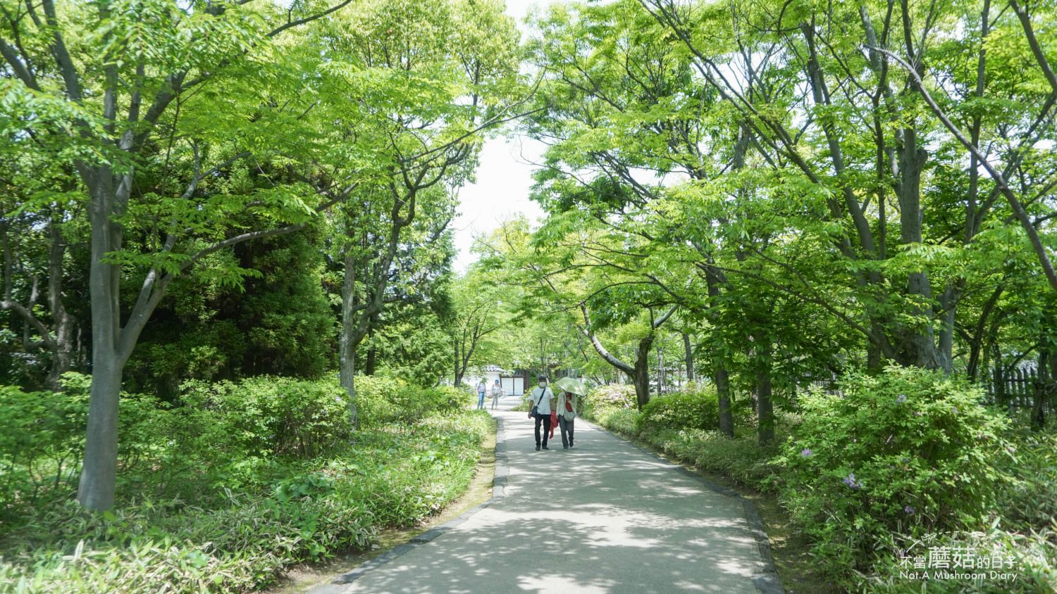 姬路 好古園 双樹庵 景點 推薦 抹茶