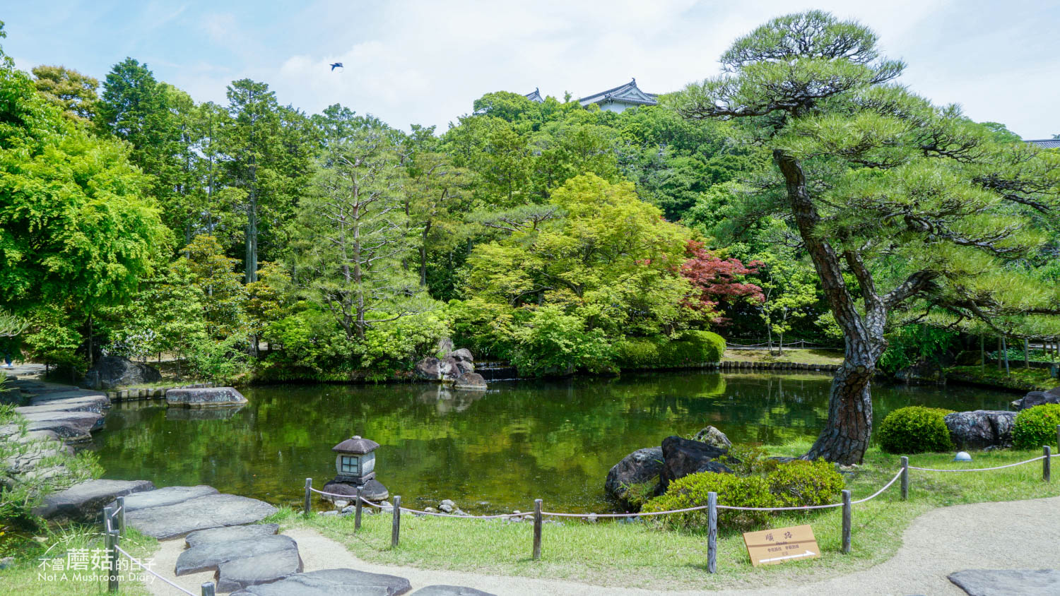 姬路 好古園 双樹庵 景點 推薦 抹茶