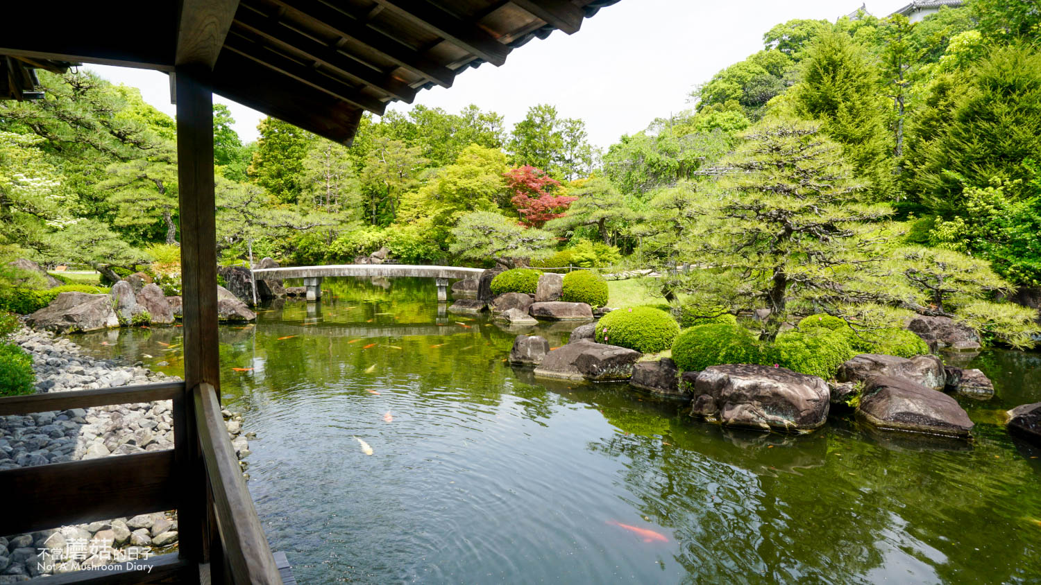 姬路 好古園 双樹庵 景點 推薦 抹茶