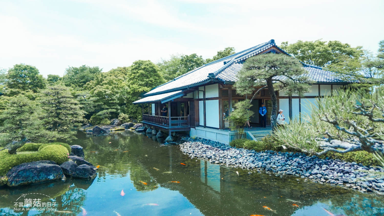 姬路 好古園 双樹庵 景點 推薦 抹茶
