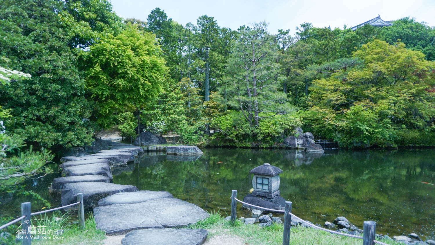 姬路 好古園 双樹庵 景點 推薦 抹茶