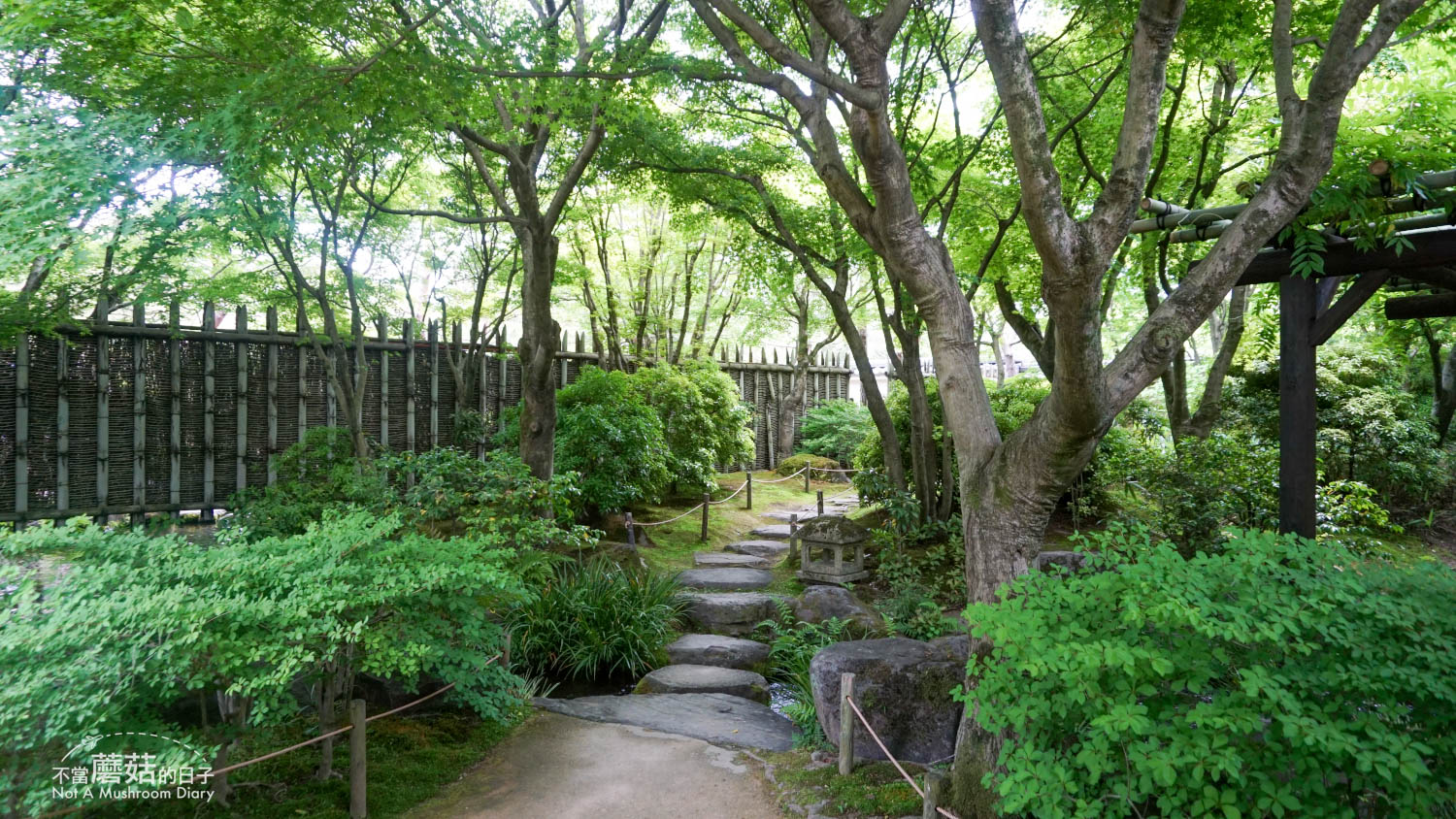 姬路 好古園 双樹庵 景點 推薦 抹茶