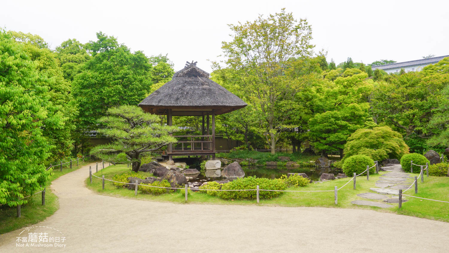 姬路 好古園 双樹庵 景點 推薦 抹茶