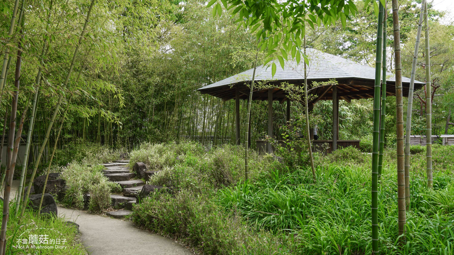 姬路 好古園 双樹庵 景點 推薦 抹茶