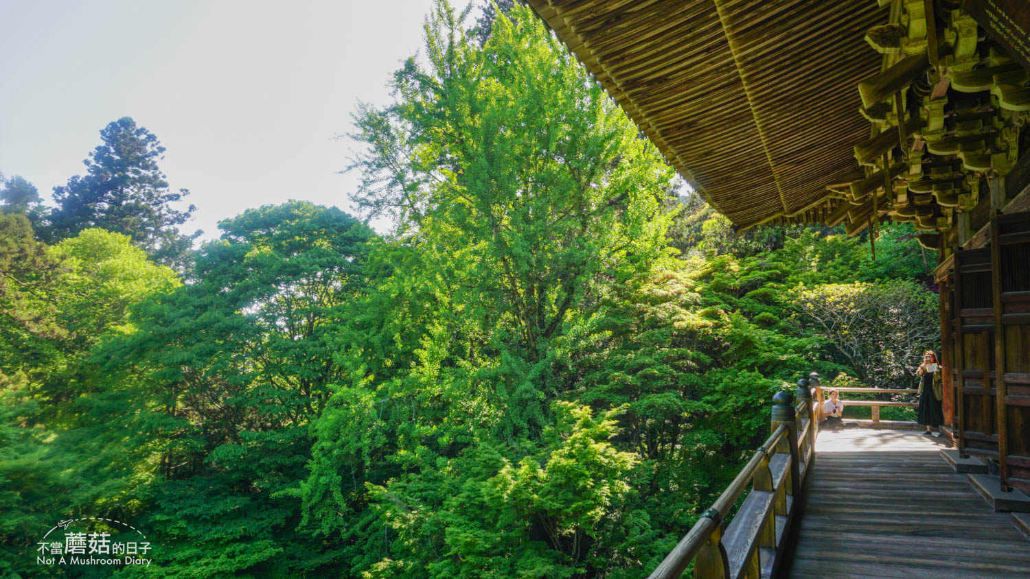 姬路 景點 推薦 書寫山 圓教寺 纜車 交通 西國三十三觀音