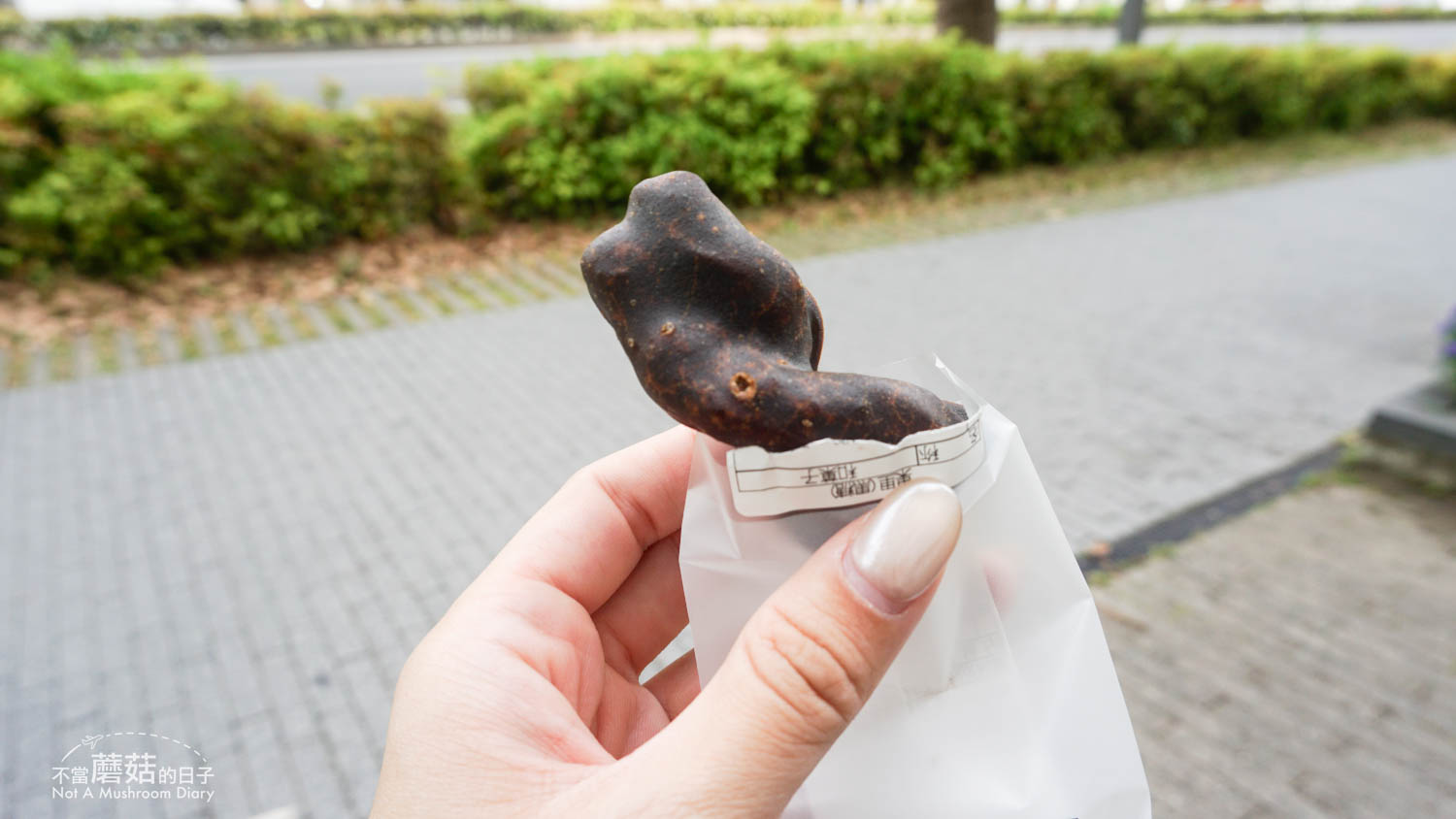 姬路 必吃 推薦 餐廳 清酒 關東煮 串燒 拉麵 景點 甘音屋