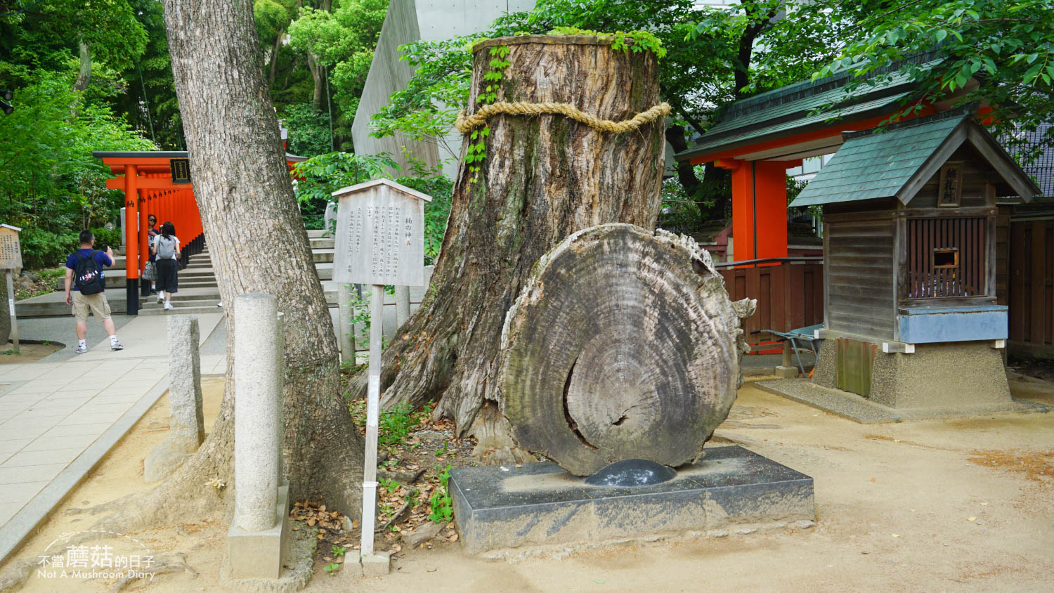 神戶 日本 自由行 北野天滿神社 北野異人館 門票 交通 景點 推薦 生田神社