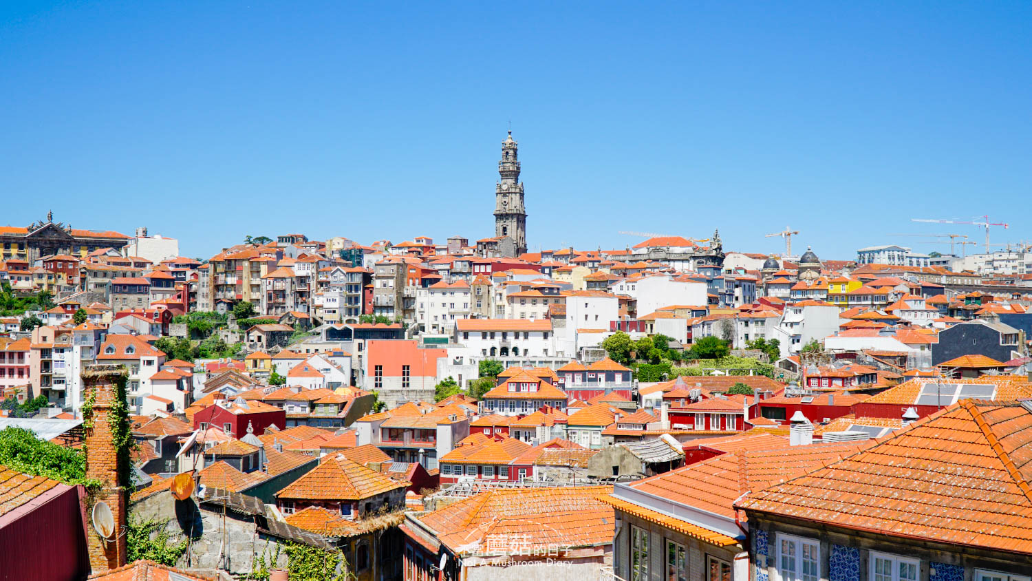 波多 葡萄牙 自由行 景點 推薦 波多主教堂 Se do Porto