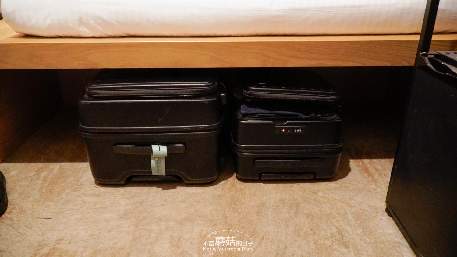 京都 住宿 膠囊旅館 青年旅社 獨旅 推薦 自由行 The Millennials R Star Sakura Terrace 紀錄