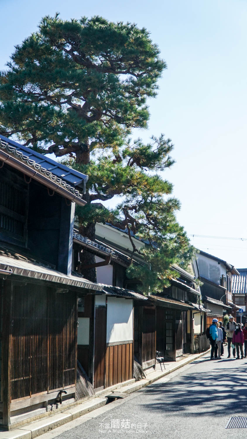 近江八幡 一日遊 自由行 景點 推薦 舊伴家住宅 