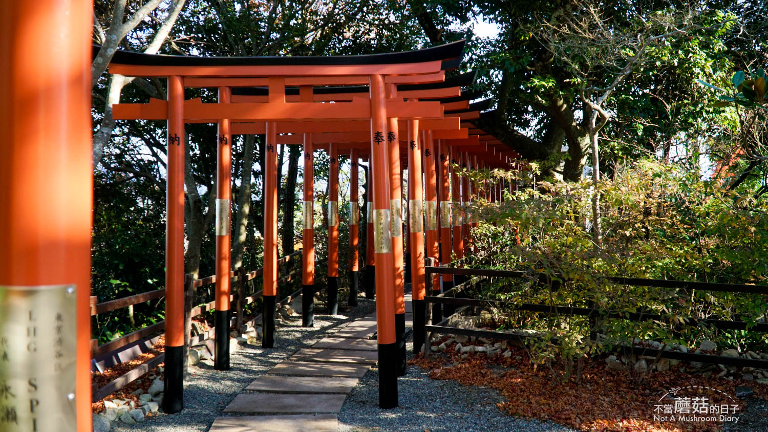 八幡堀 京都 一日遊 景點 近江八幡 交通 日牟禮乃舍 日牟禮八幡宮 八幡展望台 八幡山纜車 八幡山城