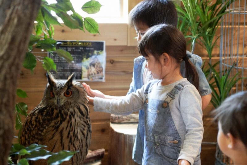 三島天空步道 園區地圖 活動 交通 新幹線 JR 箱根 三島市