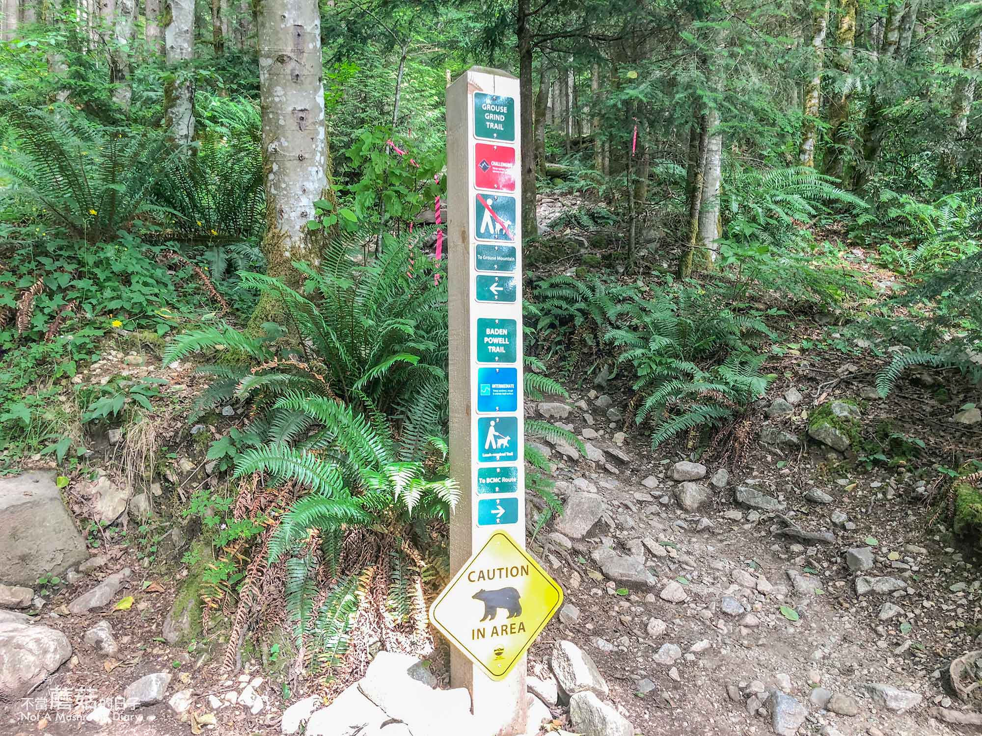 溫哥華 爬山 步道 Grouse Mountain 葛勞斯山