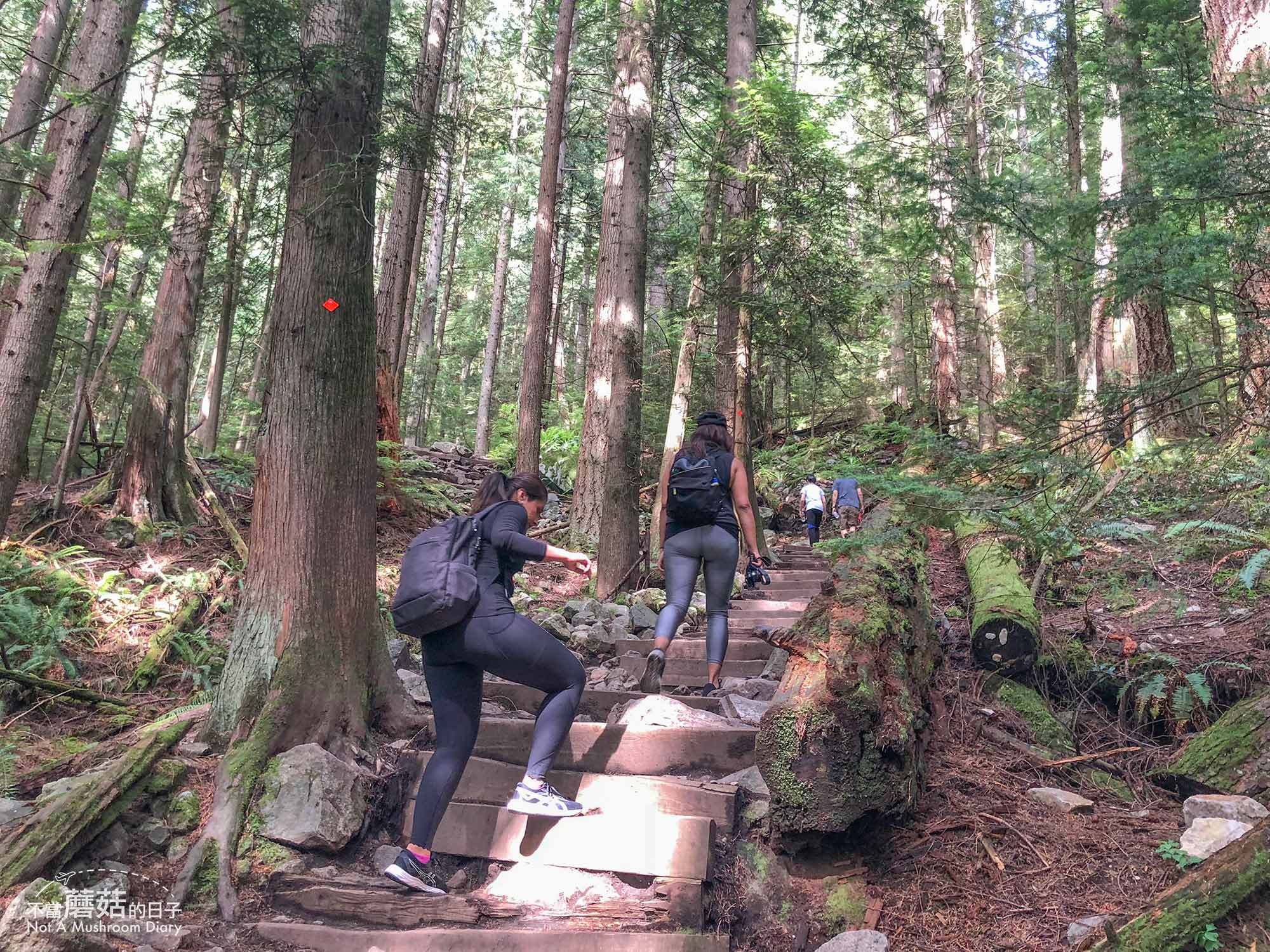 溫哥華 爬山 步道 Grouse Mountain 葛勞斯山