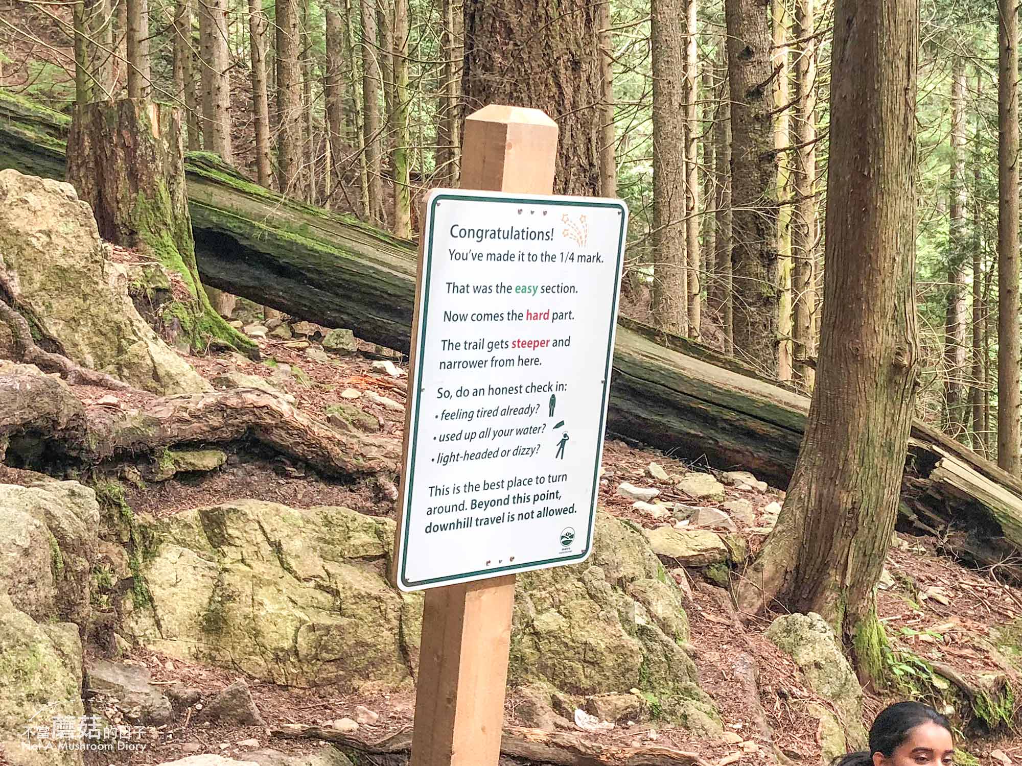 溫哥華 爬山 步道 Grouse Mountain 葛勞斯山