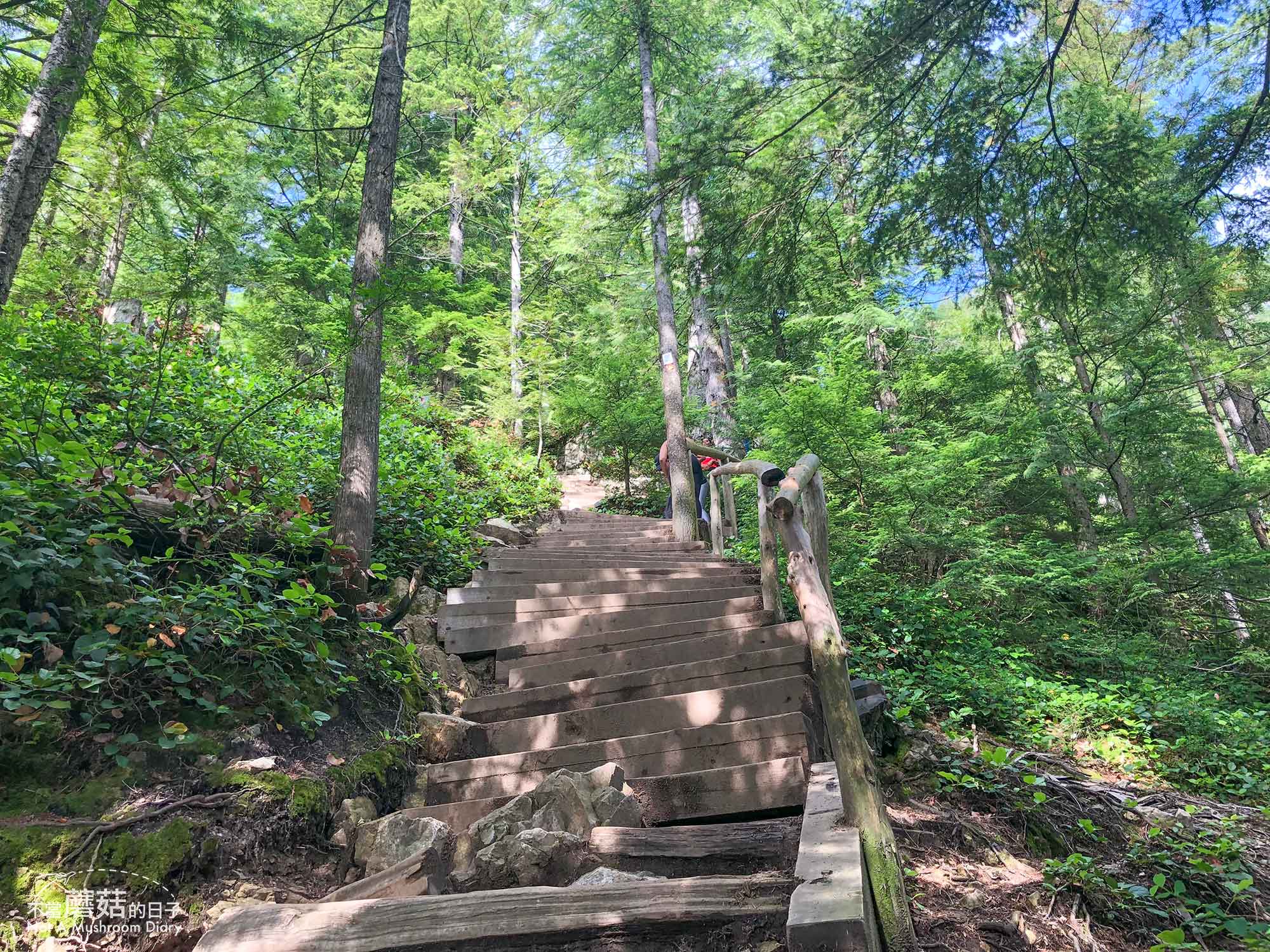 溫哥華 爬山 步道 Grouse Mountain 葛勞斯山