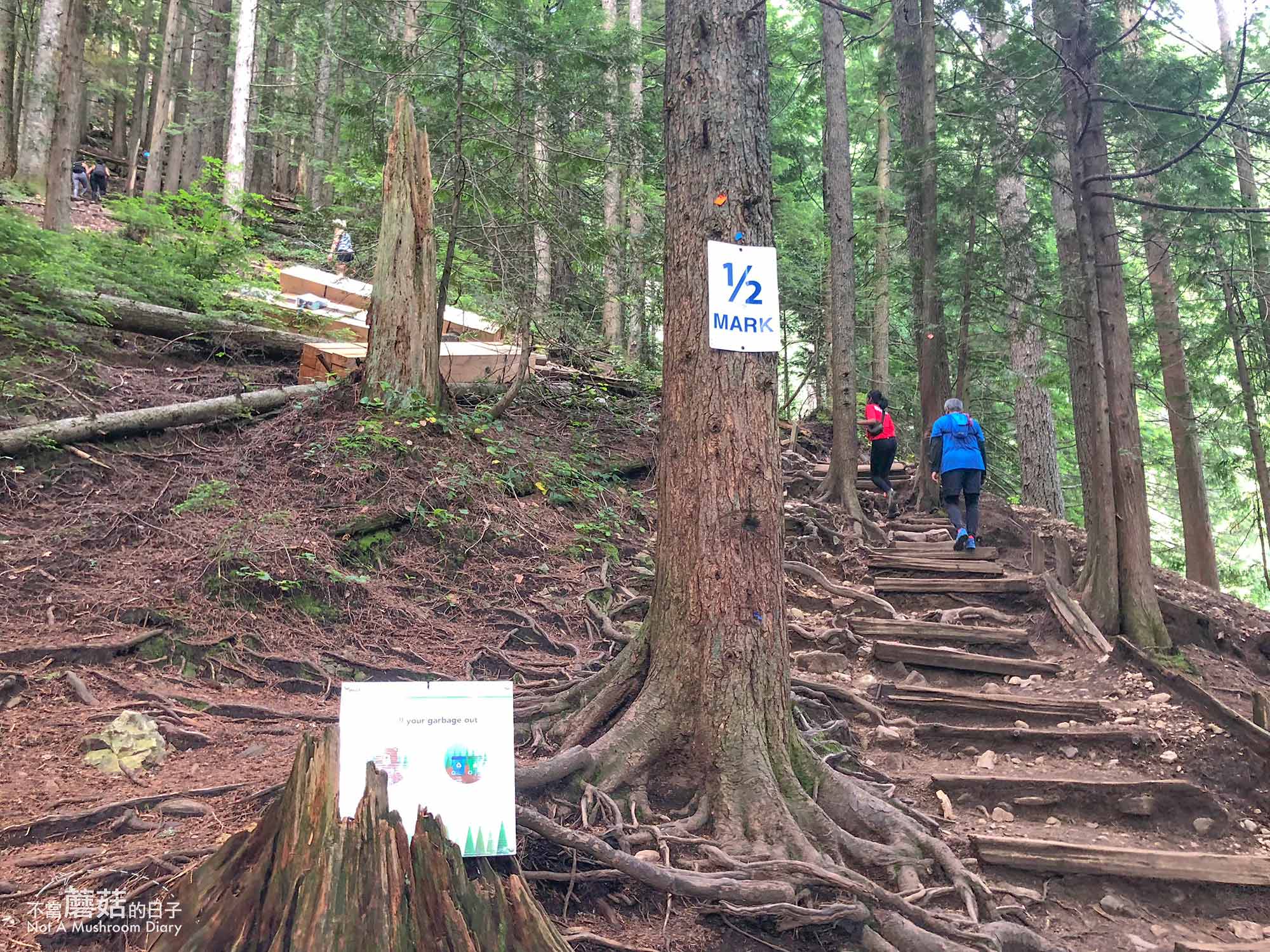 溫哥華 爬山 步道 Grouse Mountain 葛勞斯山