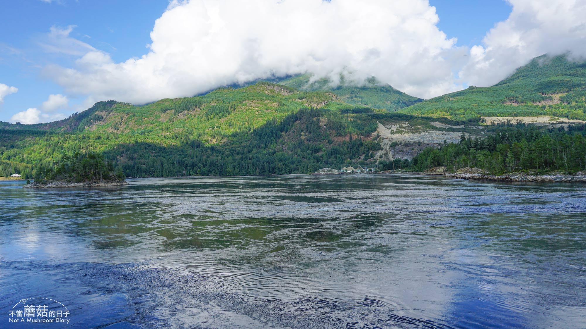 陽光海岸 溫哥華 景點 Skookumchuck Narrows