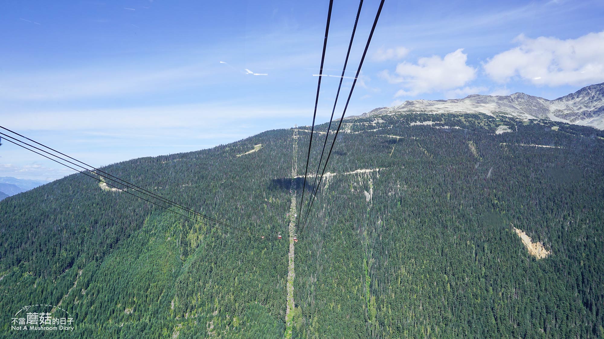 惠斯勒 纜車 景點 Whistler Gondola Peak 2 Peak