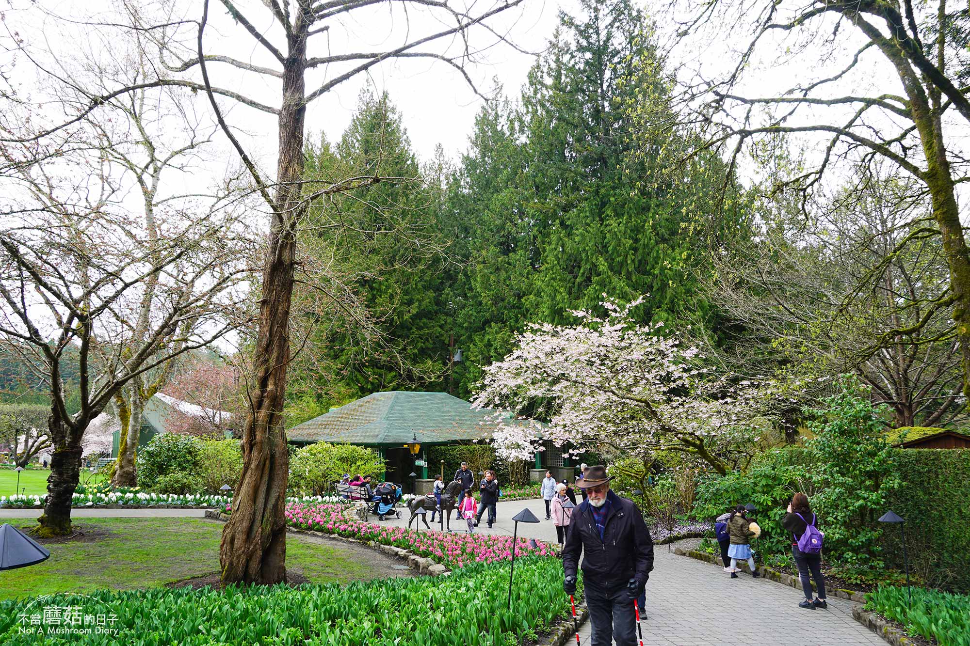 維多利亞 溫哥華島 加拿大 景點 布查花園 Butchart Garden