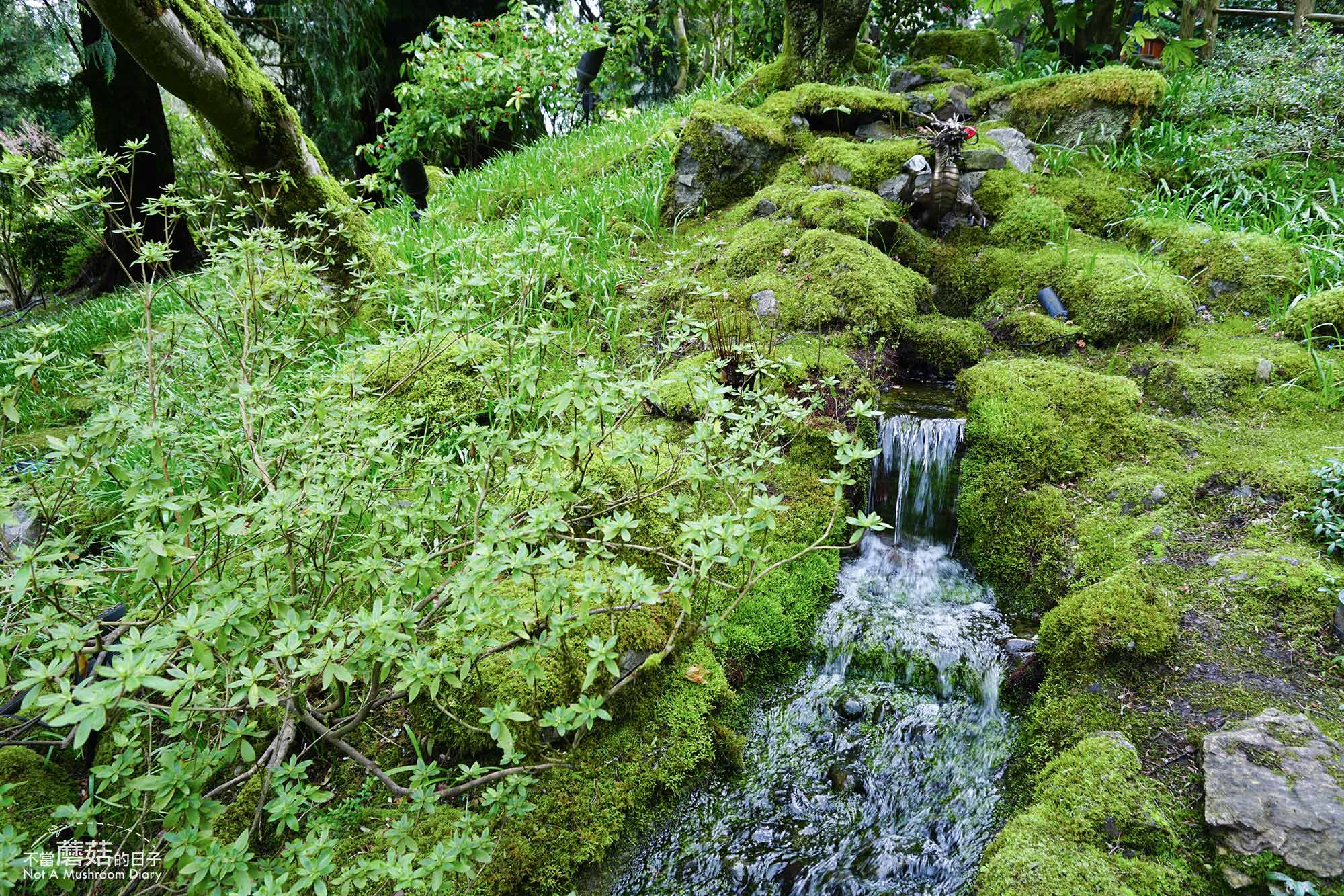 維多利亞 溫哥華島 加拿大 景點 布查花園 Butchart Garden