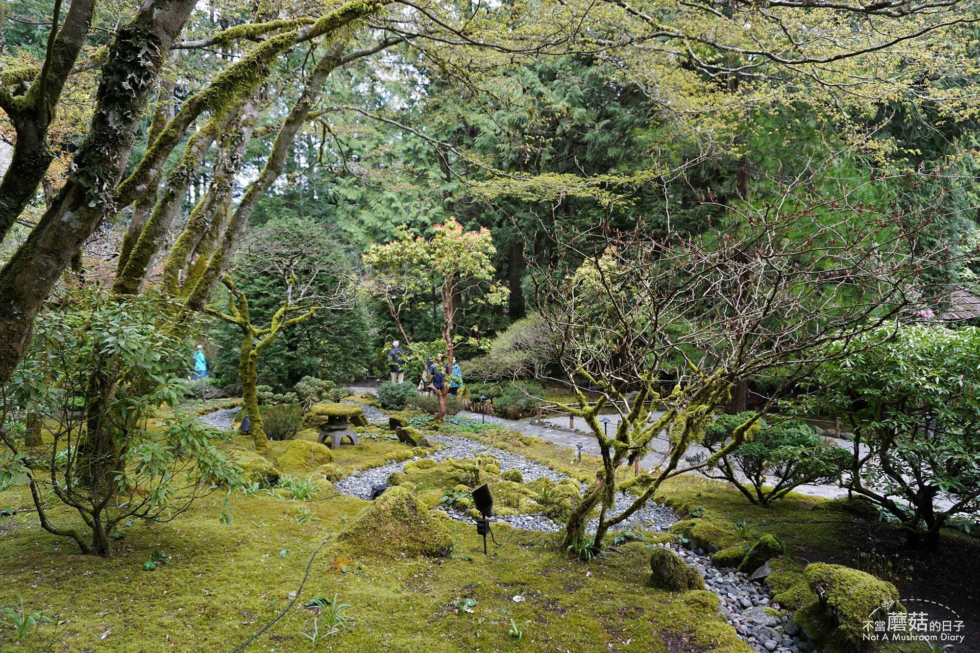 維多利亞 溫哥華島 加拿大 景點 布查花園 Butchart Garden